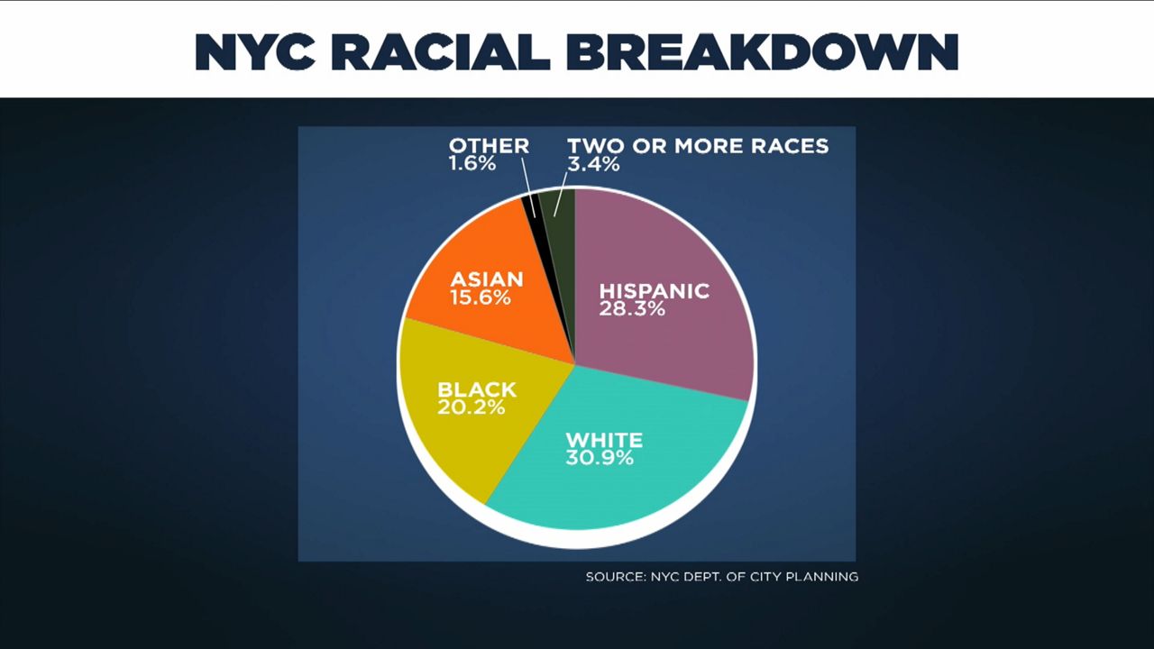 Ny City Demographics